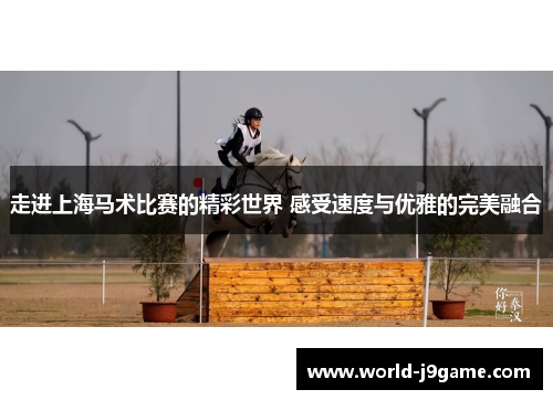 走进上海马术比赛的精彩世界 感受速度与优雅的完美融合