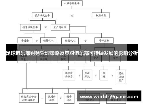 足球俱乐部财务管理策略及其对俱乐部可持续发展的影响分析